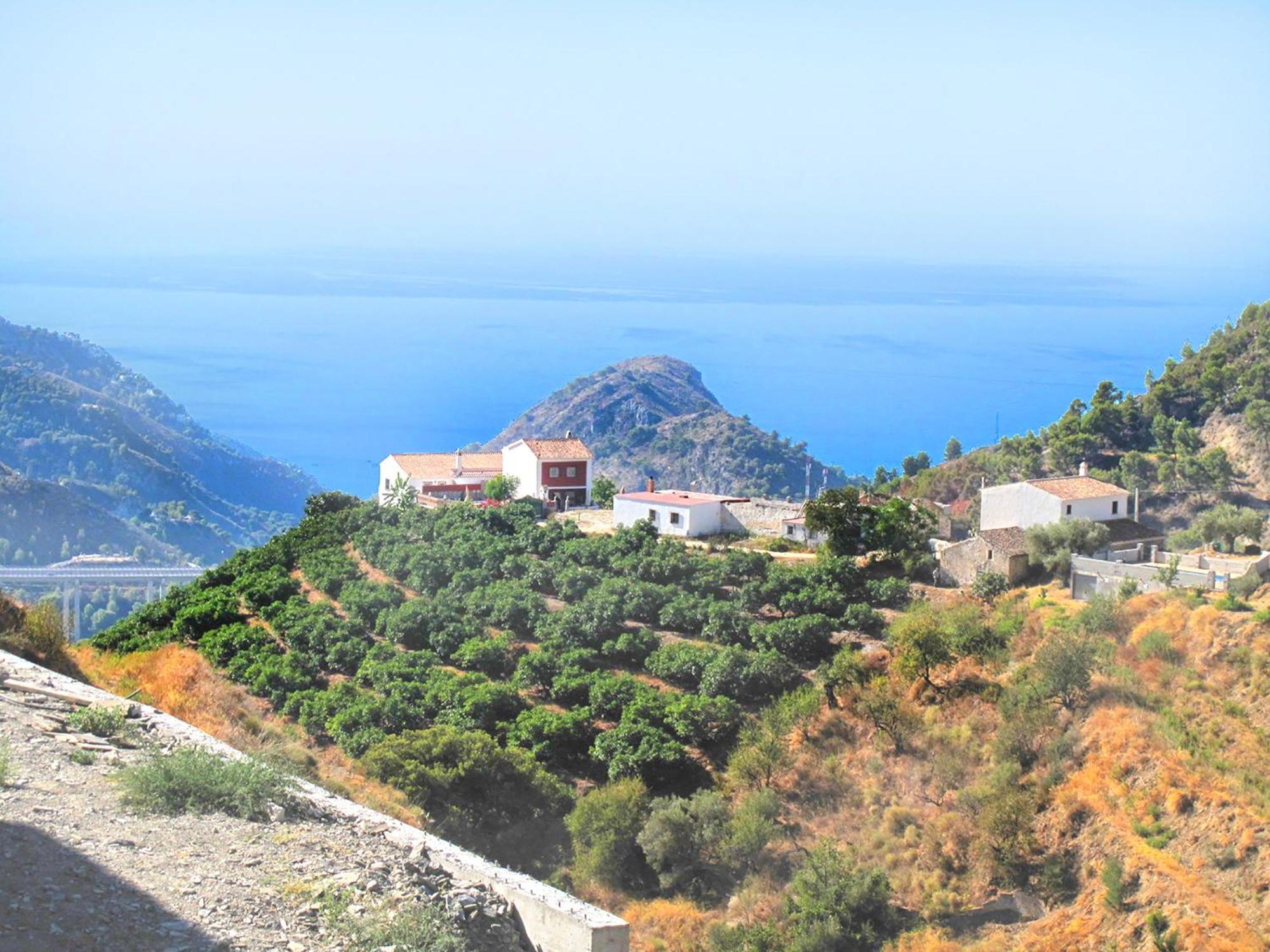 Villa Francisca Малага Экстерьер фото
