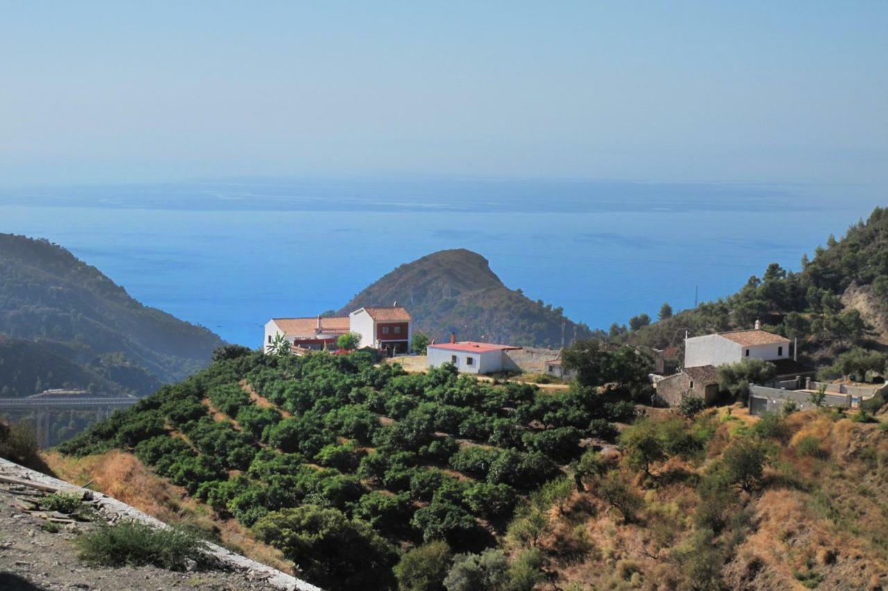 Villa Francisca Малага Экстерьер фото